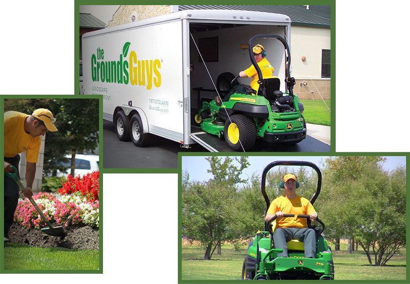 The Grounds Guys Betheboss Ca, The Grounds Guys Franchise Cost