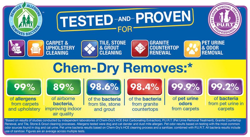 Chem Dry Franchise Cleaning Franchise Betheboss Ca