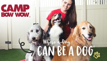 Camp Bow Wow pet care