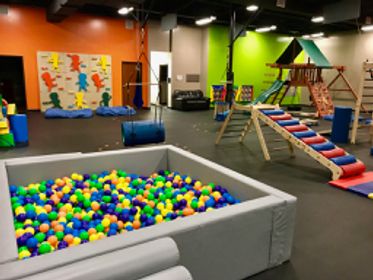 Little Land Play Gym franchise