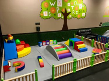 Little Land Play Gym franchise for sale