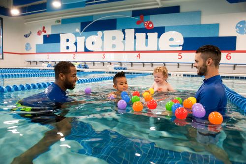 Big Blue Swim School Franchise For Sale