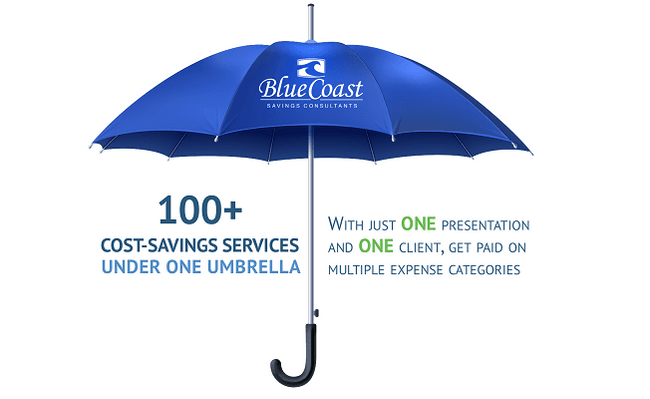 Blue Coast Savings Consultants Franchise Services